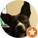 Cody Cochran Avatar