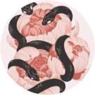 Meghan Davitt Avatar